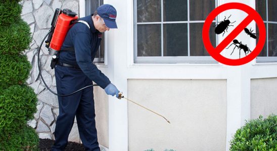 Payamlı Kemirgen İlaçlama böcek ilaçlama ve haşere kontrolü — ilaclama-tr.com